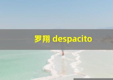 罗翔 despacito